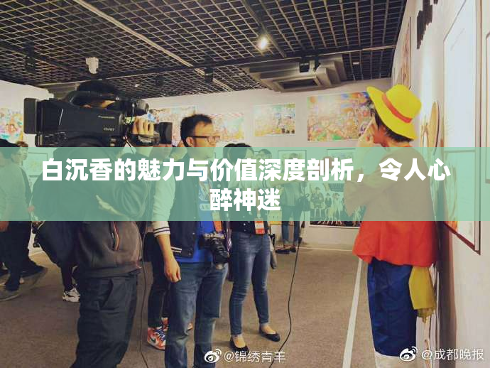 白沉香的魅力与价值深度剖析，令人心醉神迷