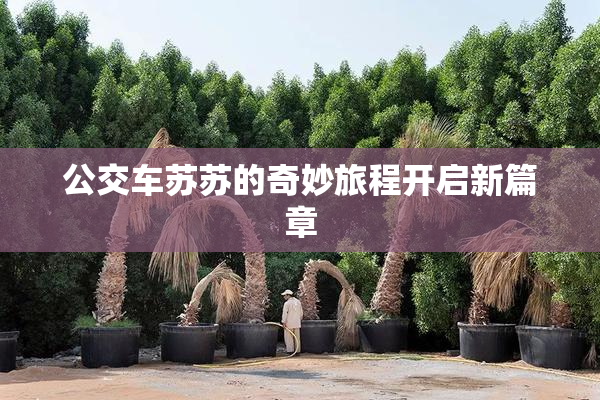 公交车苏苏的奇妙旅程开启新篇章