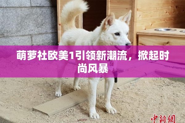 萌萝社欧美1引领新潮流，掀起时尚风暴