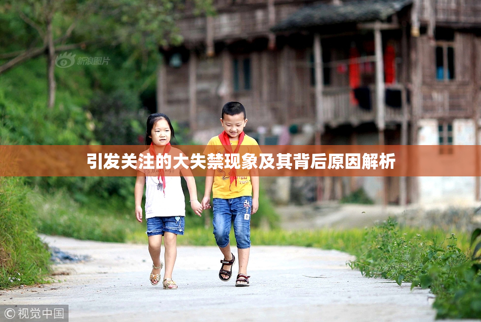 引发关注的大失禁现象及其背后原因解析