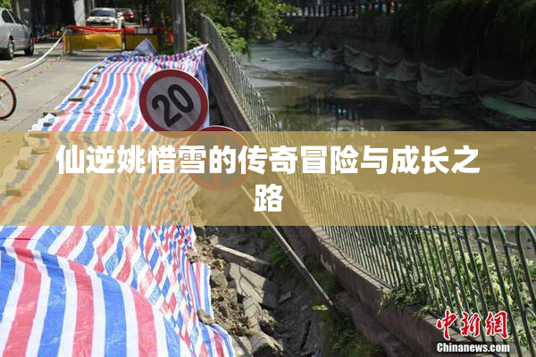 仙逆姚惜雪的传奇冒险与成长之路