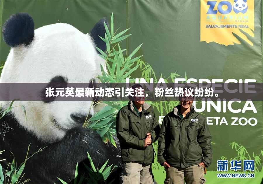 张元英最新动态引关注，粉丝热议纷纷。