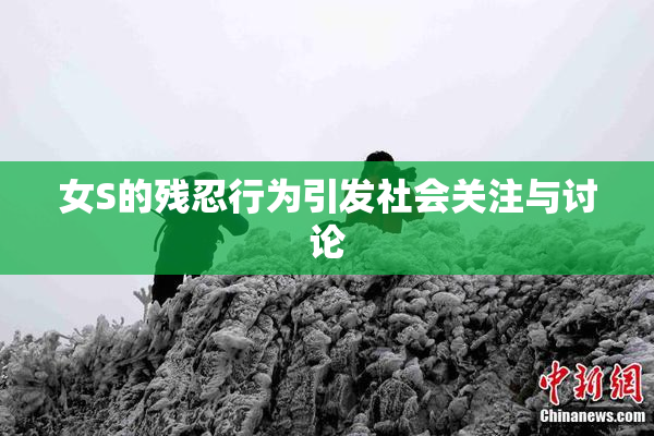 女S的残忍行为引发社会关注与讨论