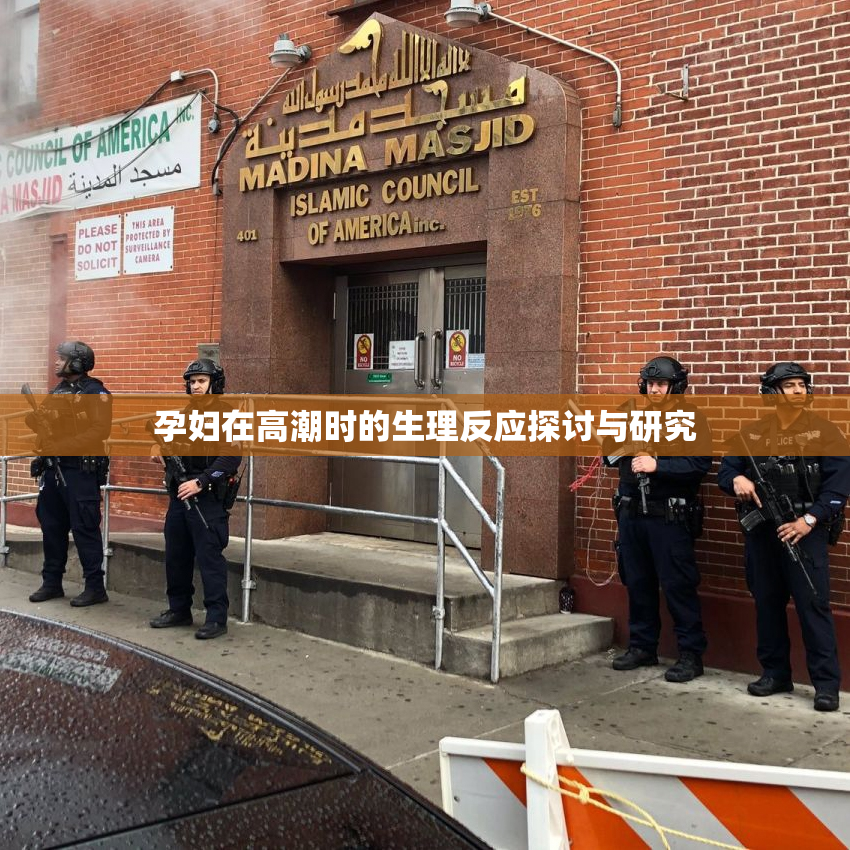 孕妇在高潮时的生理反应探讨与研究