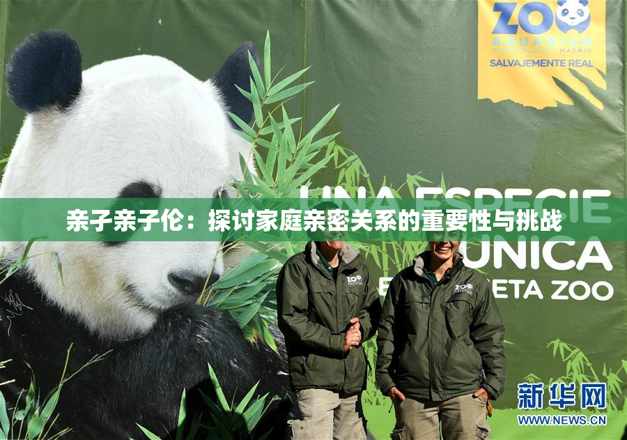 亲孑亲子伦：探讨家庭亲密关系的重要性与挑战