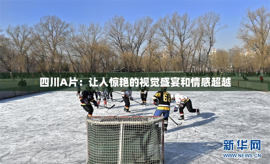 四川A片：让人惊艳的视觉盛宴和情感超越