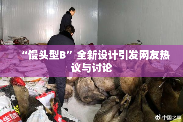 “馒头型B”全新设计引发网友热议与讨论
