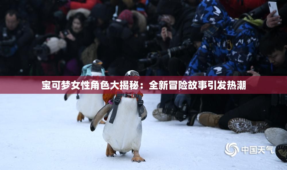 宝可梦女性角色大揭秘：全新冒险故事引发热潮