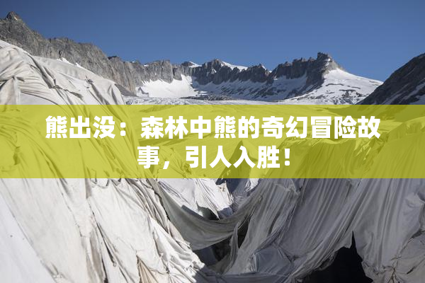 熊出没：森林中熊的奇幻冒险故事，引人入胜！