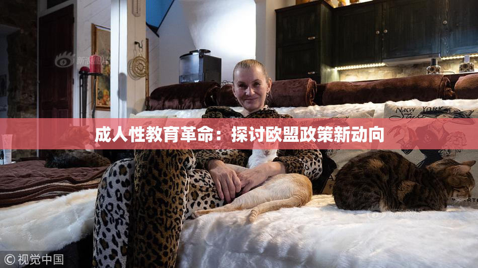 成人性教育革命：探讨欧盟政策新动向