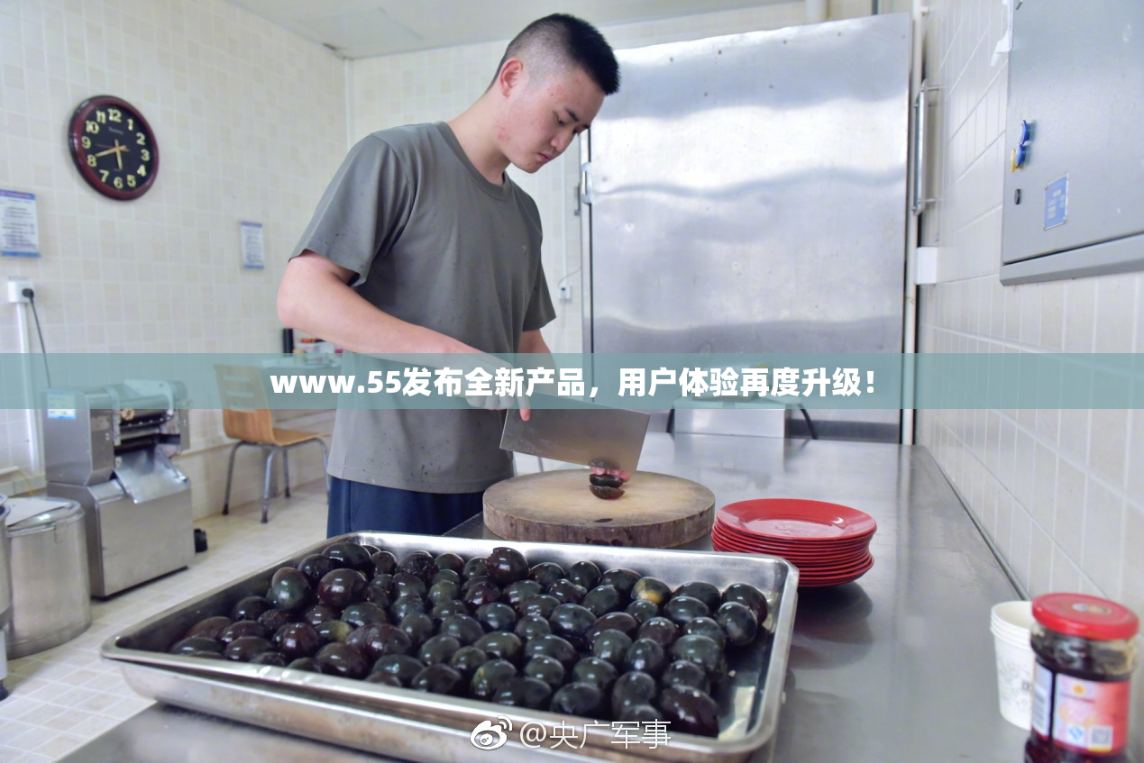 www.55发布全新产品，用户体验再度升级！