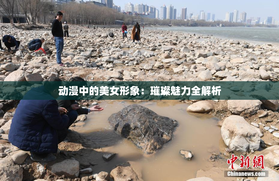 动漫中的美女形象：璀璨魅力全解析