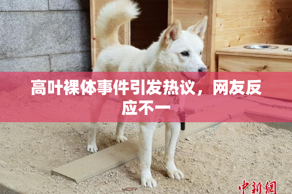 高叶裸体事件引发热议，网友反应不一