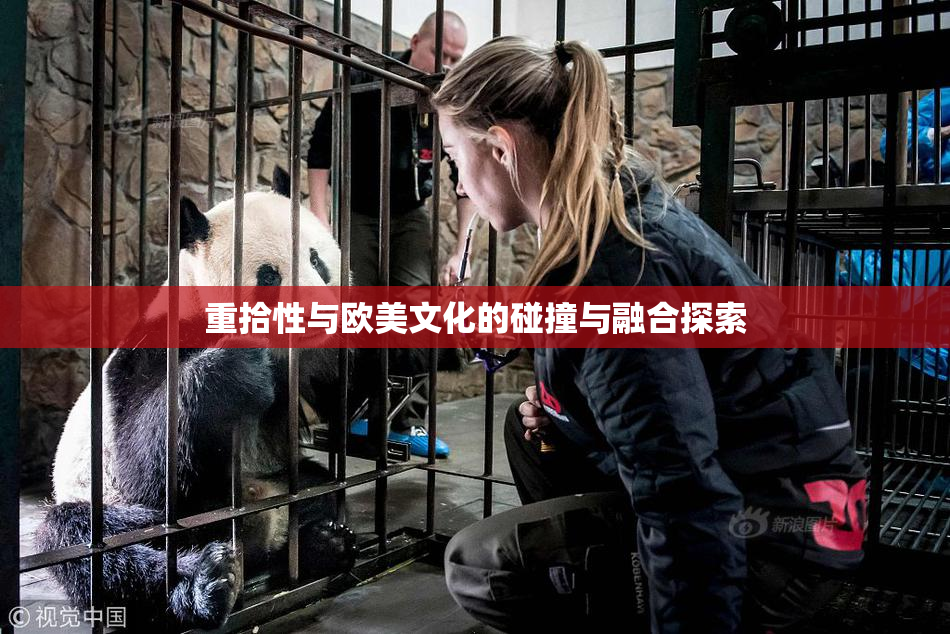 重拾性与欧美文化的碰撞与融合探索