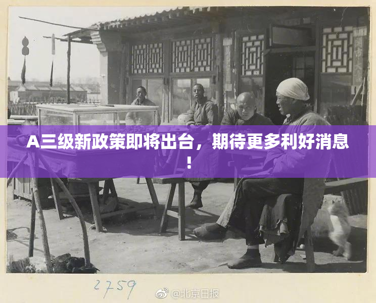A三级新政策即将出台，期待更多利好消息!