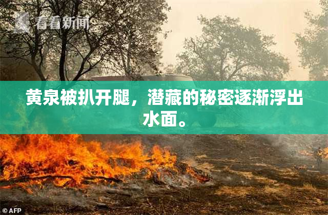 黄泉被扒开腿，潜藏的秘密逐渐浮出水面。