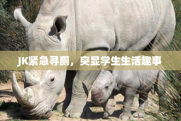 JK紧急寻厕，突显学生生活趣事