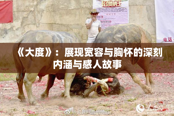 《大度》：展现宽容与胸怀的深刻内涵与感人故事