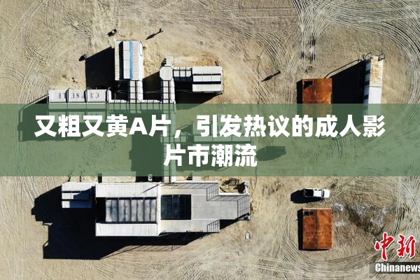 又粗又黄A片，引发热议的成人影片市潮流
