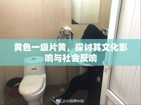 黄色一级片黄，探讨其文化影响与社会反响