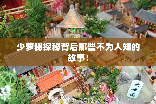 少萝秘探秘背后那些不为人知的故事！