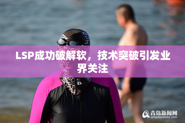 LSP成功破解软，技术突破引发业界关注
