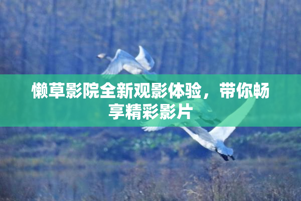 懒草影院全新观影体验，带你畅享精彩影片