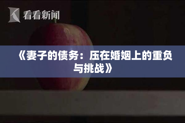 《妻子的债务：压在婚姻上的重负与挑战》