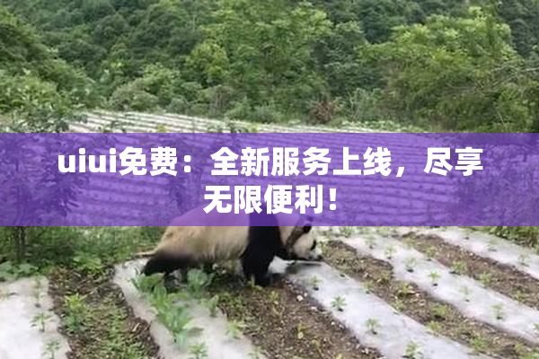 uiui免费：全新服务上线，尽享无限便利！