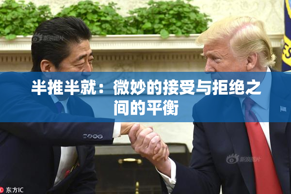 半推半就：微妙的接受与拒绝之间的平衡