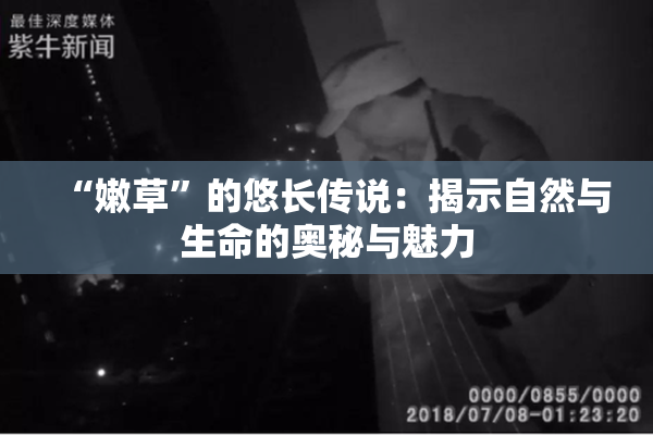 “嫩草”的悠长传说：揭示自然与生命的奥秘与魅力