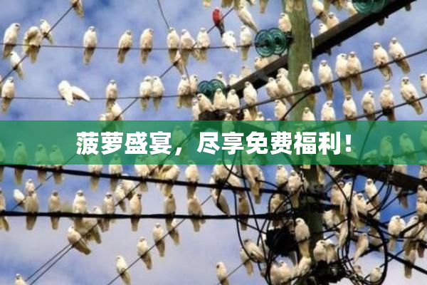 菠萝盛宴，尽享免费福利！