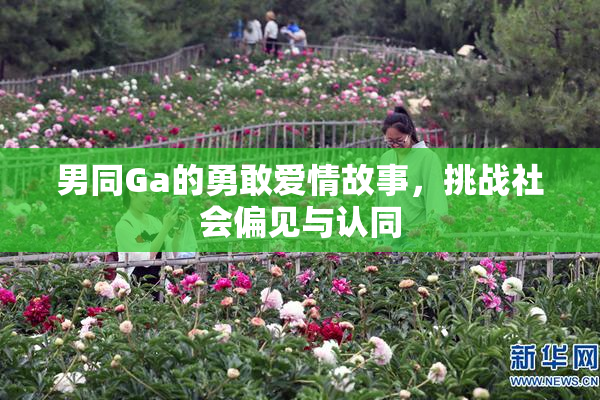 男同Ga的勇敢爱情故事，挑战社会偏见与认同