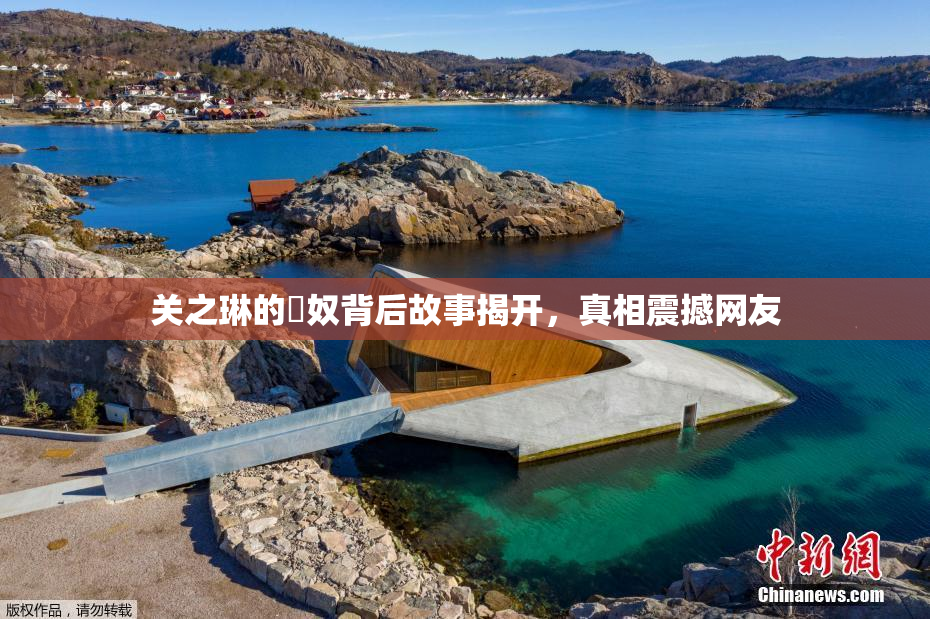 关之琳的婬奴背后故事揭开，真相震撼网友