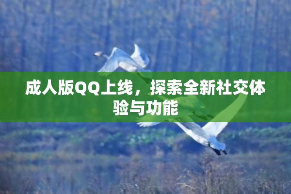 成人版QQ上线，探索全新社交体验与功能