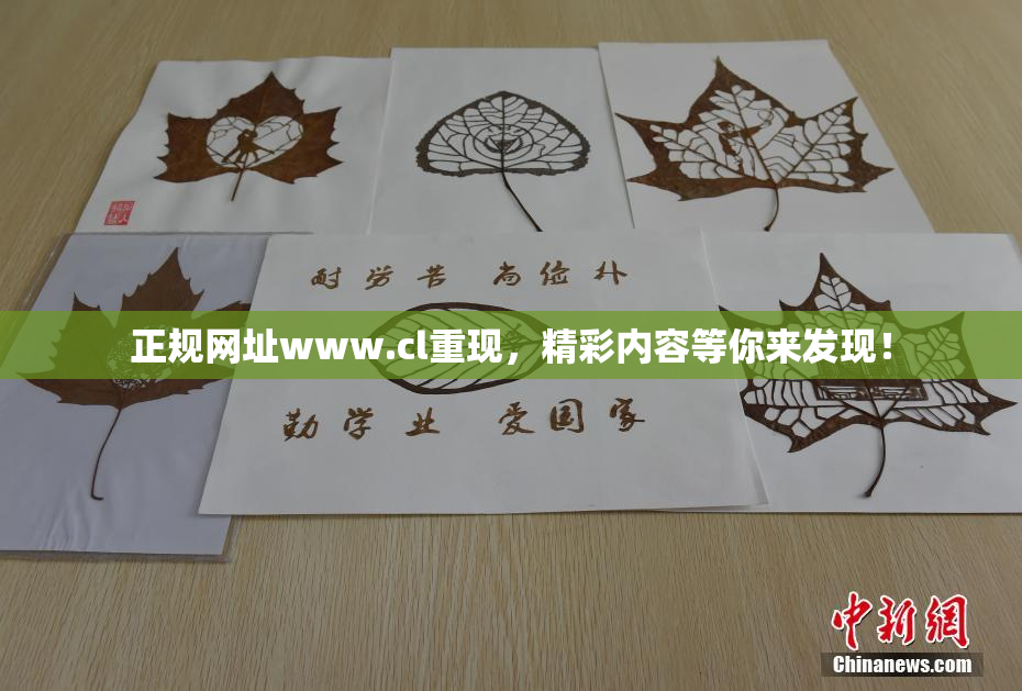 正规网址www.cl重现，精彩内容等你来发现！
