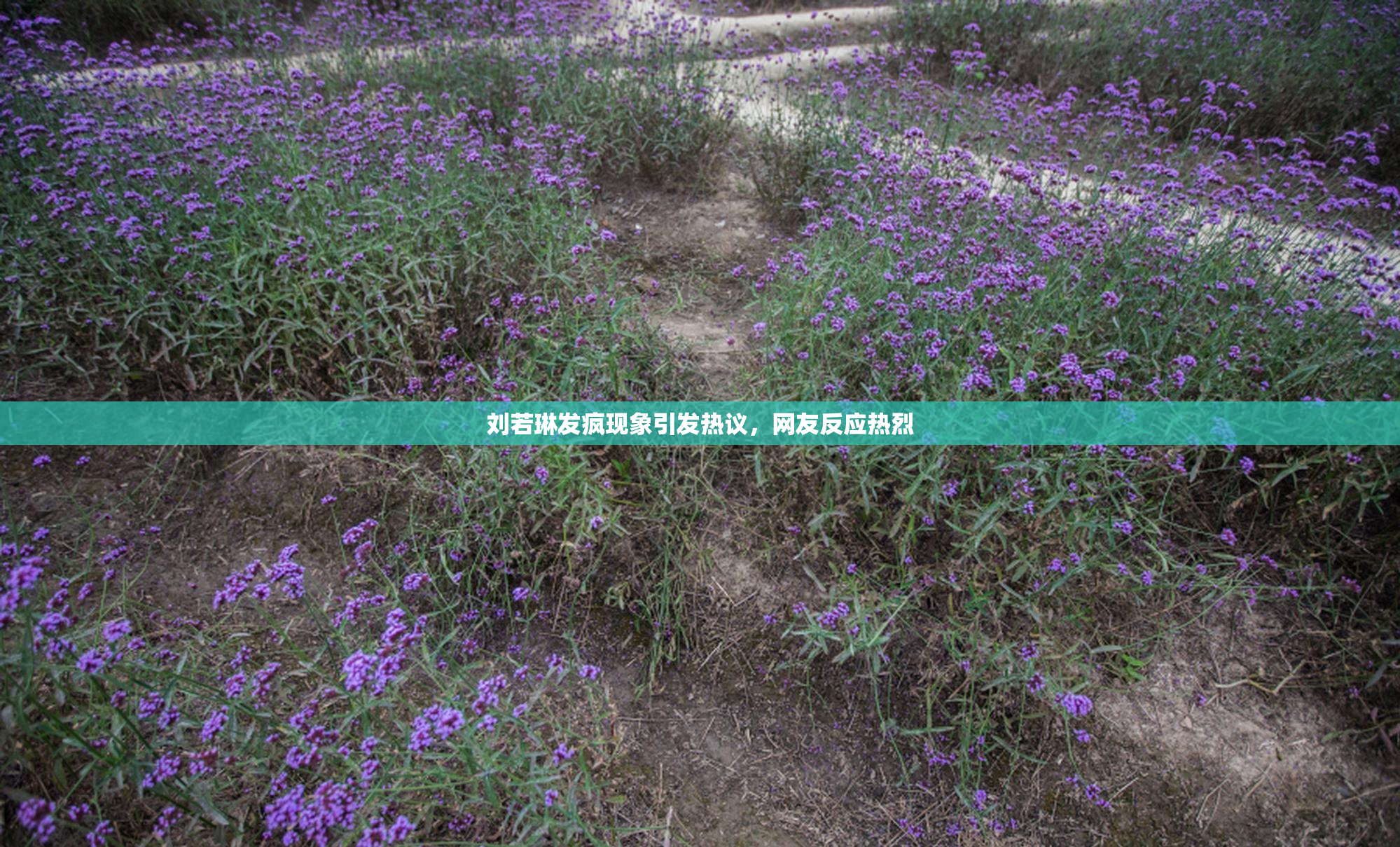 刘若琳发疯现象引发热议，网友反应热烈