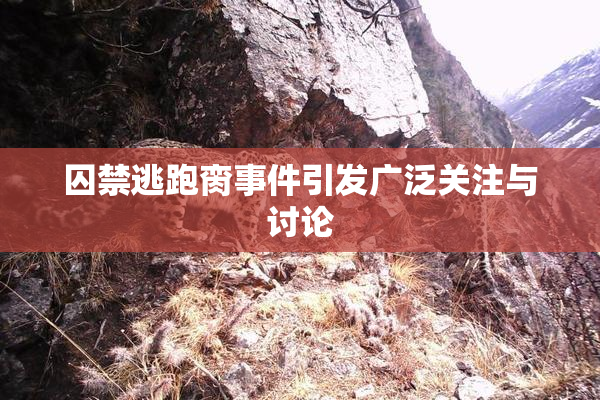 囚禁逃跑脔事件引发广泛关注与讨论