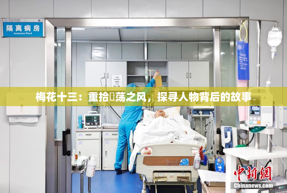 梅花十三：重拾婬荡之风，探寻人物背后的故事