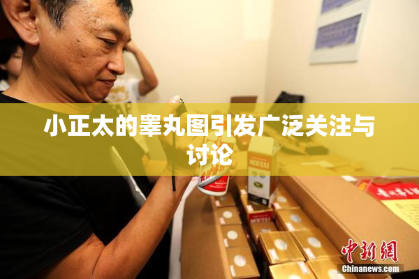 小正太的睾丸图引发广泛关注与讨论