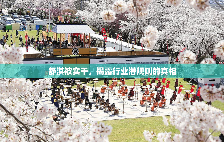 舒淇被实干，揭露行业潜规则的真相