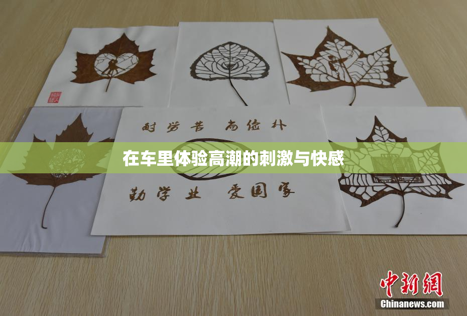在车里体验高潮的刺激与快感