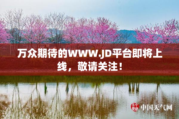 万众期待的WWW.JD平台即将上线，敬请关注！