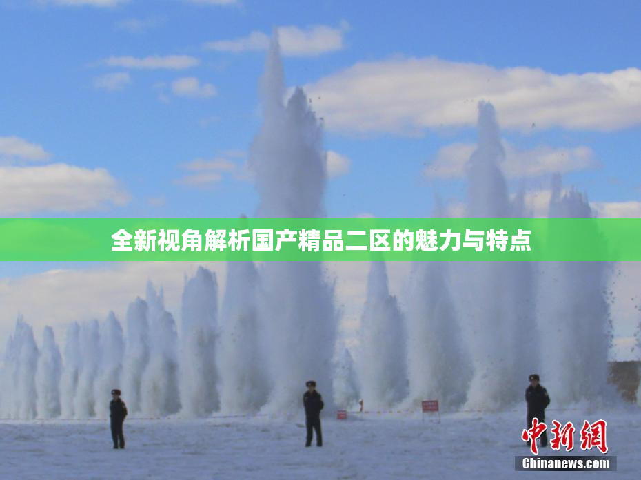 全新视角解析国产精品二区的魅力与特点