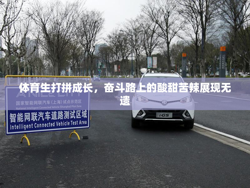 体育生打拼成长，奋斗路上的酸甜苦辣展现无遗