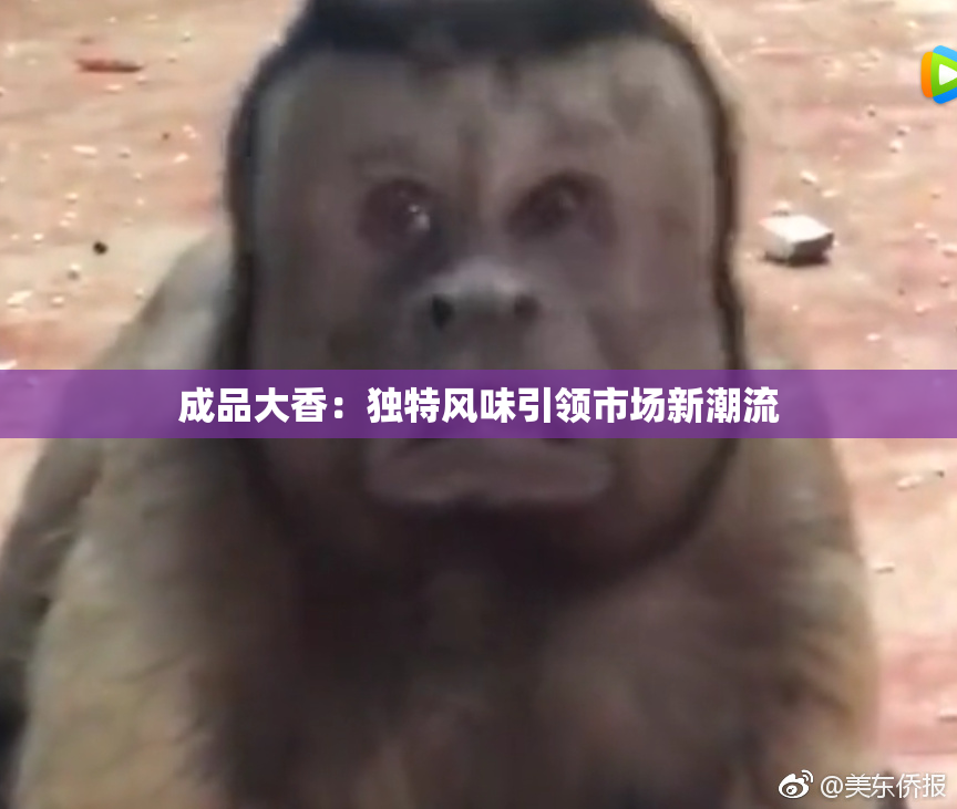成品大香：独特风味引领市场新潮流