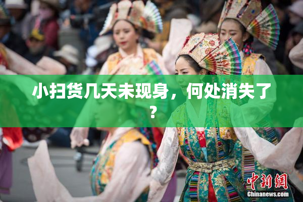 小扫货几天未现身，何处消失了？