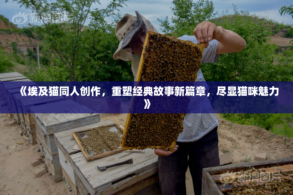 《埃及猫同人创作，重塑经典故事新篇章，尽显猫咪魅力》