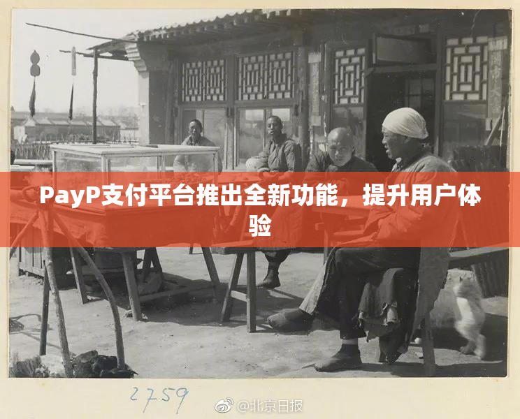 PayP支付平台推出全新功能，提升用户体验