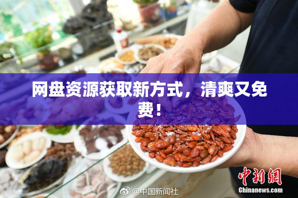 网盘资源获取新方式，清爽又免费！